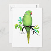 Grüner Indianerapfel Postkarte (Vorne/Hinten)