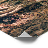 Grüner Knob Trail Blue Ridge Mountains Poster (Ecke)