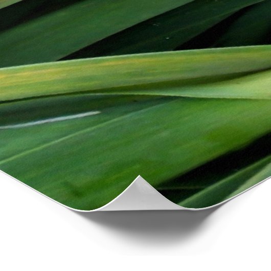 Grüner Knoblauch Poster (Ecke)