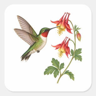 Grüner Kolibri neben roten Wildblumen Quadratischer Aufkleber