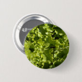 Grüner Kopfsalat Button (Vorne & Hinten)
