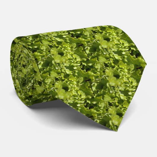 Grüner Kopfsalat Krawatte (Gerollt)