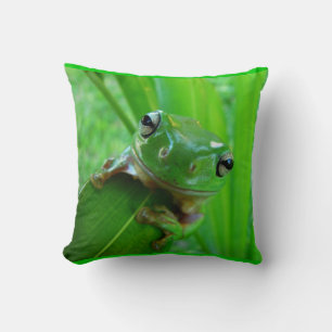 Grüner Laubfrosch-Kissen Kissen