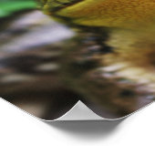 Grüner Laubfrosch Nahaufnahme Poster (Ecke)
