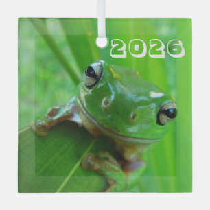 Grüner Laubfrosch-Schmuck Ornament Aus Glas