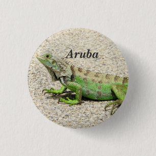 Grüner Leguan Arubas Button