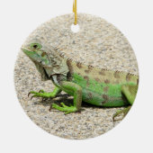 Grüner Leguan Arubas Keramikornament (Hinten)