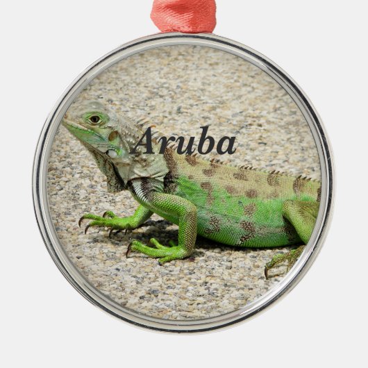 Grüner Leguan Arubas Silbernes Ornament (Vorne)