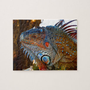 Grüner Leguan Florida Keys Puzzle