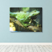 Grüner Leguan Leinwanddruck (Insitu (Holzboden))
