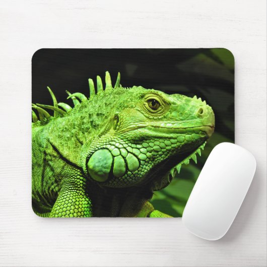 Grüner Leguan Mousepad (Mit Mouse)