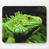 Grüner Leguan Mousepad (Vorne)