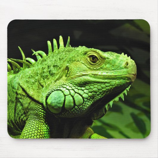 Grüner Leguan Mousepad (Vorne)