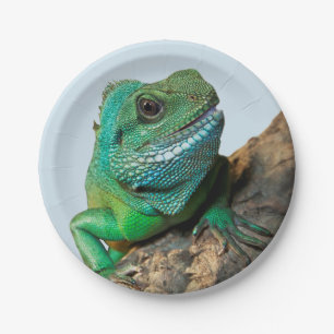 Grüner Leguan Pappteller