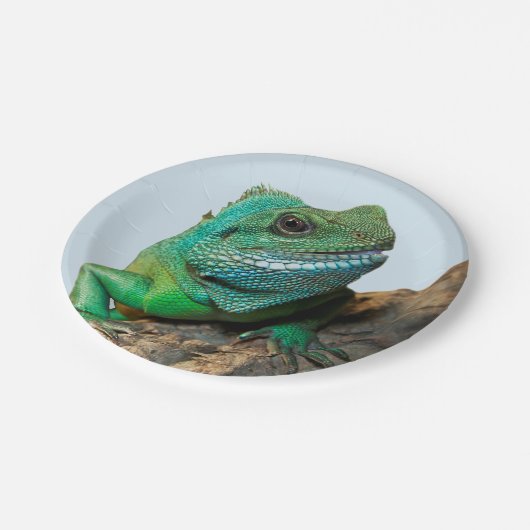 Grüner Leguan Pappteller (Schrägansicht)