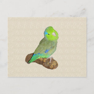 Grüner Männchen Postkarte