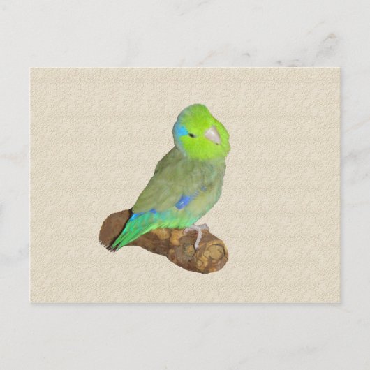 Grüner Männchen Postkarte (Vorderseite)