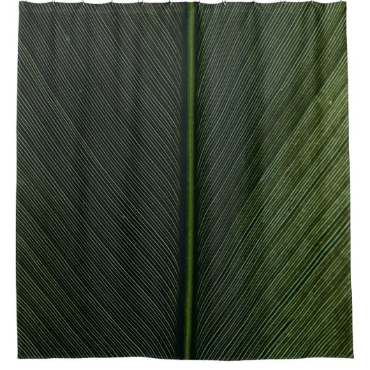 Grüner Metallstab auf schwarz-weiß pinstrix texti Duschvorhang (Vorderseite)