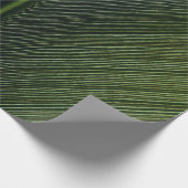 Grüner Metallstab auf schwarz-weiß pinstrix texti Geschenkpapier (Ecke)
