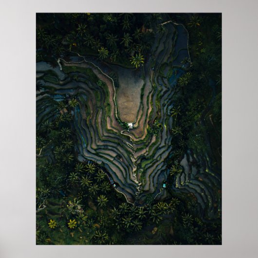 Grüner Moos auf schwarzem Felsen Poster (Vorne)