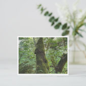 Grüner Moos Postkarte (Stehend Vorderseite)