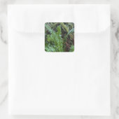 Grüner Moos und Farne Quadratischer Aufkleber (Tasche)