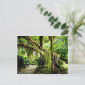 Grüner Moosbedeckter Baum Postkarte (Stehend Vorderseite)