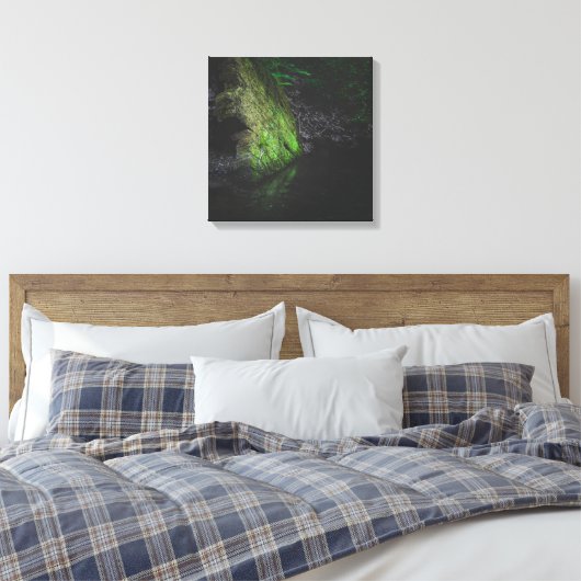 Grüner Moosgestein mit Reflexion im Wasser Leinwanddruck (Insitu (Schlafzimmer))