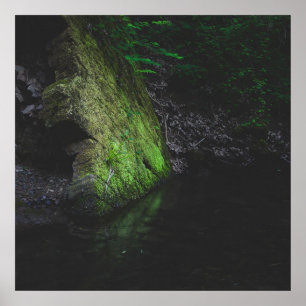 Grüner Moosgestein mit Reflexion im Wasser Poster