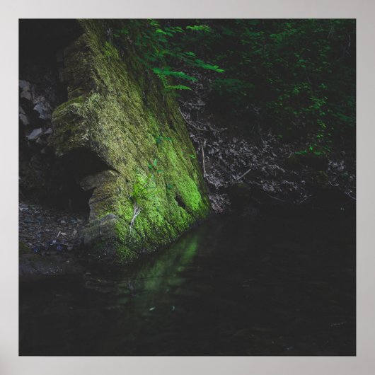 Grüner Moosgestein mit Reflexion im Wasser Poster (Vorne)