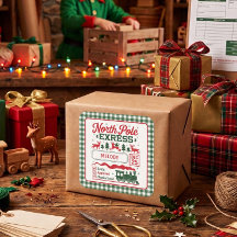 Grüner Nordpol-Santa-Express-Lieferung Kariert