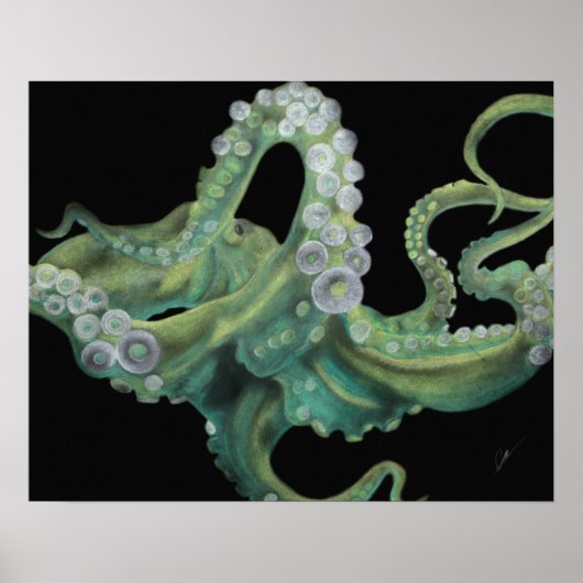 Grüner Oktopus 20 x 16 Poster (Vorne)