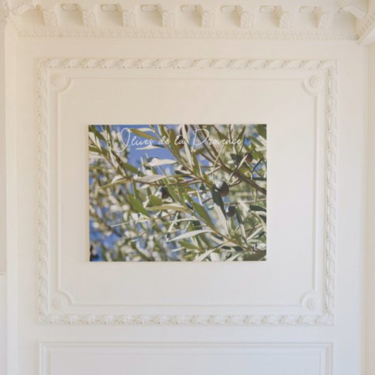 Grüner Olivenbaum mit schwarzen Früchten Poster