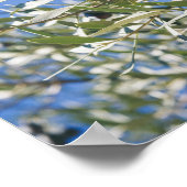 Grüner Olivenbaum mit schwarzen Früchten Poster (Ecke)