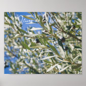 Grüner Olivenbaum mit schwarzen Früchten Poster (Vorne)