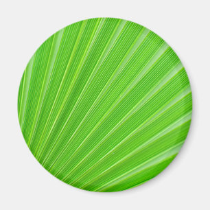 Grüner Palmenblatthintergrund Magnet
