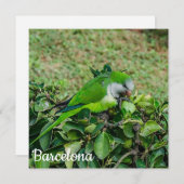 Grüner Papagei (Vorne/Hinten)