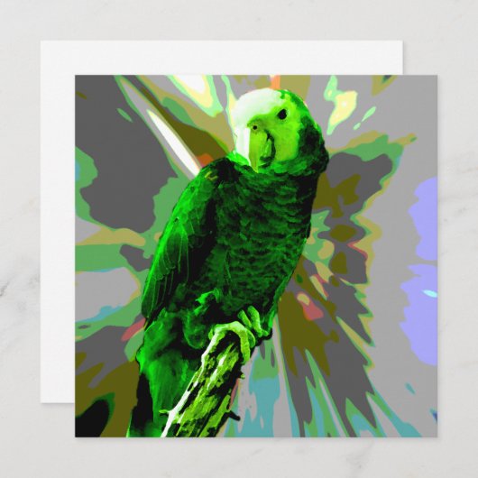 Grüner Papagei 6537 (Vorne/Hinten)