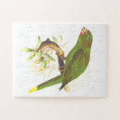 Grüner Papagei-ähnlicher Vogel auf einer Baumzweig Puzzle (Horizontal)