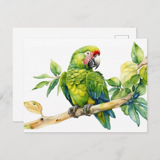 Grüner Papagei auf einer Baumzweigung Postkarte (Vorne/Hinten)