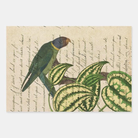 Grüner Papagei auf Zweig und Blätter (Vorderseite 3)