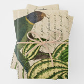 Grüner Papagei auf Zweig und Blätter (Beispiel)