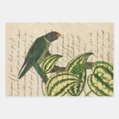 Grüner Papagei auf Zweig und Blätter (Vorderseite)