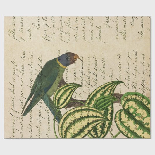 Grüner Papagei auf Zweig und Blätter Geschenkpapier (Flach)
