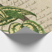 Grüner Papagei auf Zweig und Blätter Geschenkpapier (Ecke)