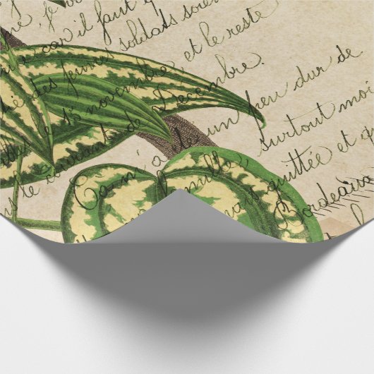 Grüner Papagei auf Zweig und Blätter Geschenkpapier (Ecke)