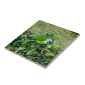 Grüner Papagei Fliese (Seite)
