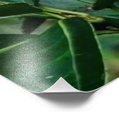 Grüner Papagei Fotodruck (Ecke)