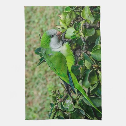 Grüner Papagei Geschirrtuch (Vertikal)