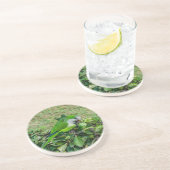 Grüner Papagei Getränkeuntersetzer (Seite)